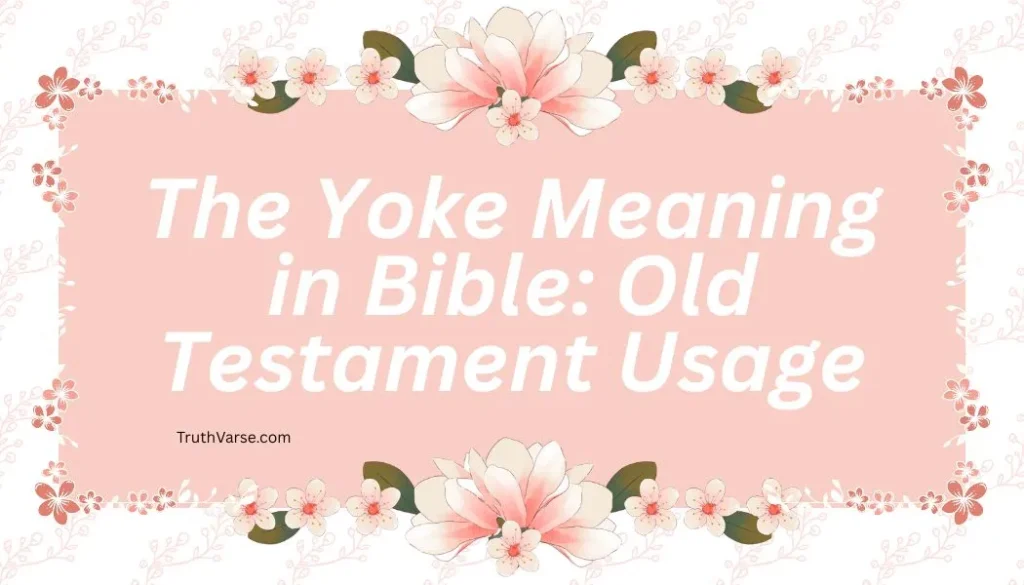 The Yoke Meaning in Bible