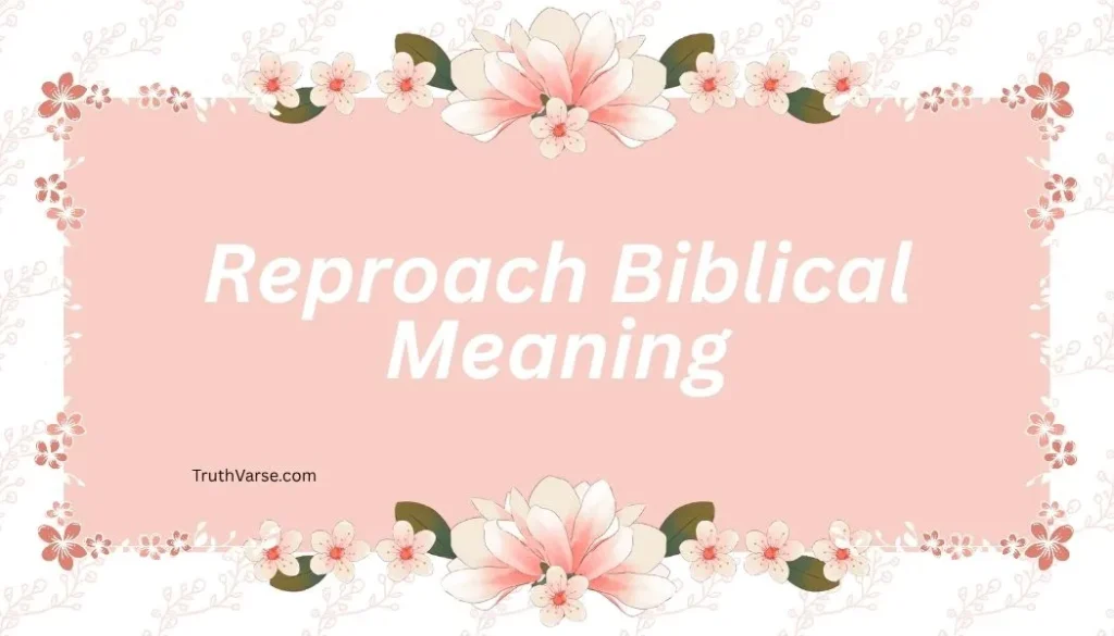 Reproach Biblical Meaning