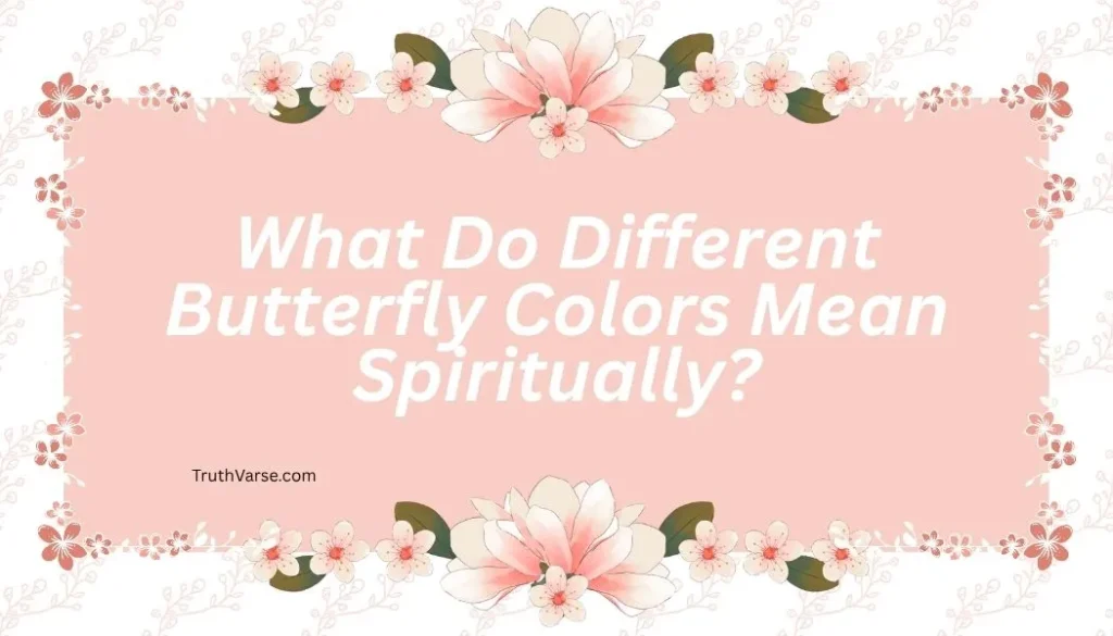 What Do Different Butterfly Colors Mean Spiritually