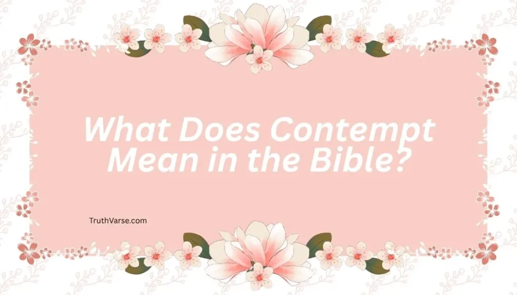 What Does Contempt Mean in the Bible
