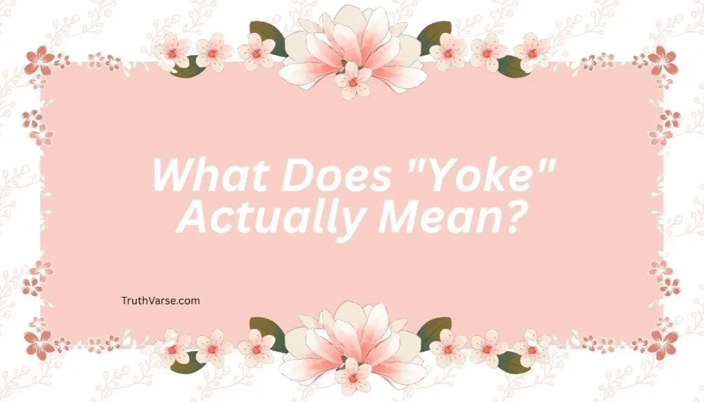 What Does "Yoke" Actually Mean